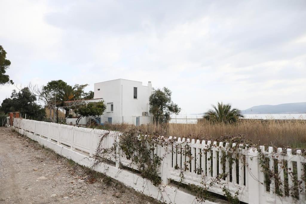 Villa Yfn Urla Seaside House Balikliova Esterno foto
